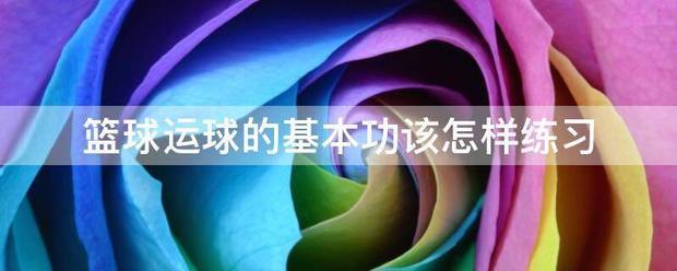 篮球训练心得体会400字左右_1